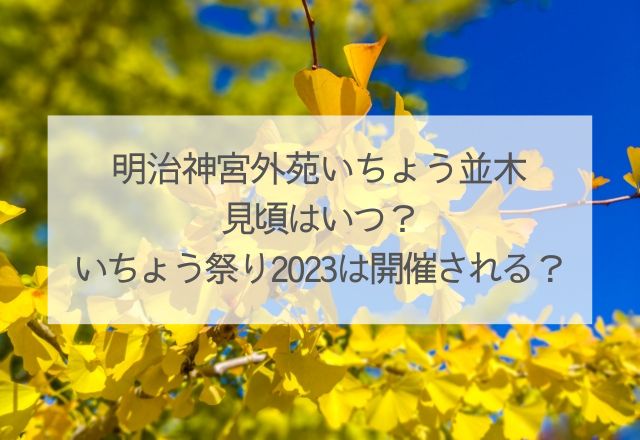 明治神宮外苑いちょう並木　見頃はいつ？