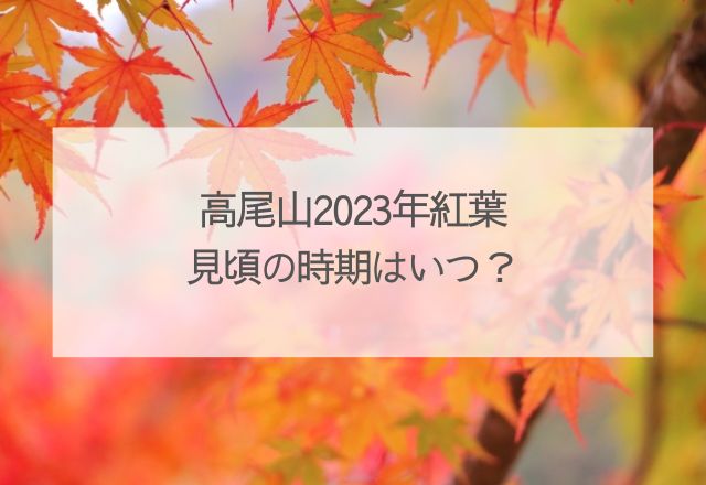 高尾山2023年紅葉見頃の時期はいつ？