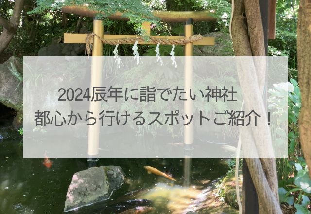 2024辰年に詣でたい都内の神社