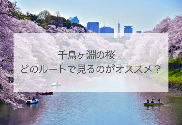 千鳥ヶ淵の桜　ルート