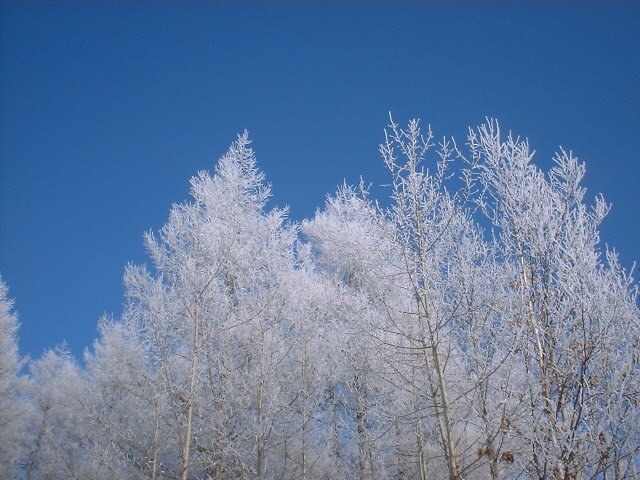 雪イメージ