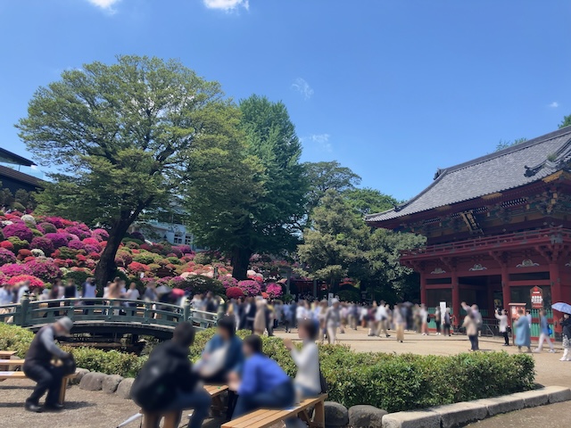 つつじ祭り　混雑